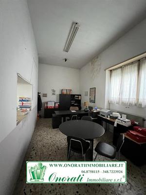 Foto - 10
