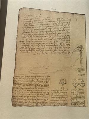 CODICE LEICESTER a cura di Mario de Stefanis Leonardo Da, come nuovo - Foto 3