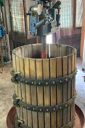 Torchio Botti Diraspatrice tini