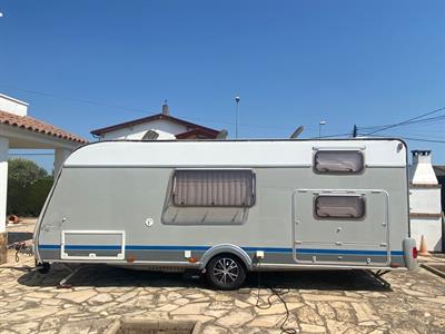 Roller Queen lux 495