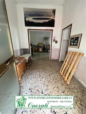 Foto - 11