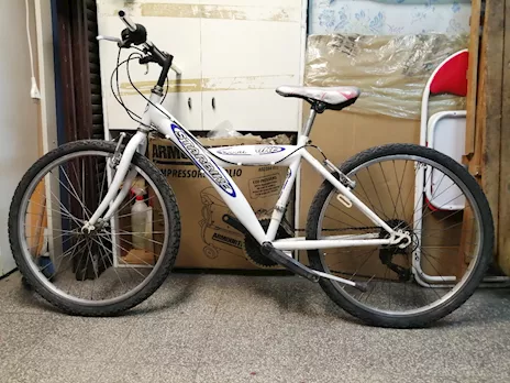 Mountain bike da uomo o ragazzo