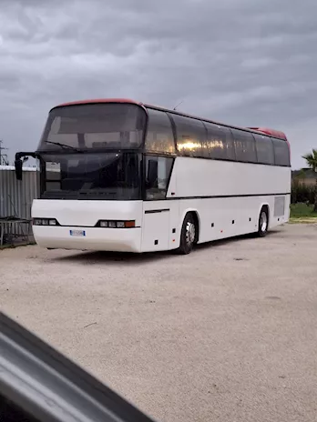 Neoplan 316