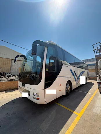 Lion's Coach