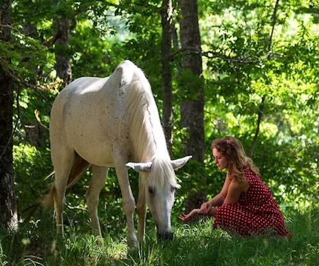 Corso Interattivo di Animal Communication
