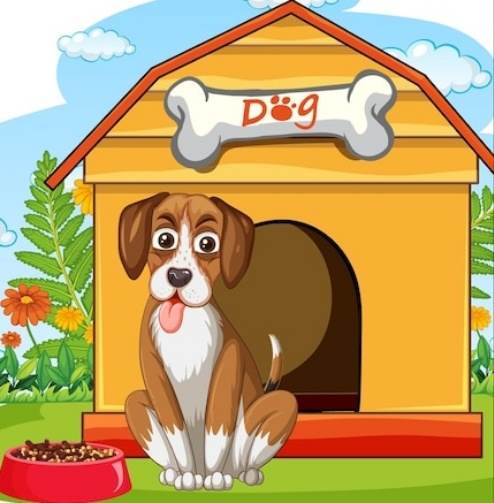 Il tuo Amico Pet Sitter per PENSIONE CASALINGA ANIMALI
