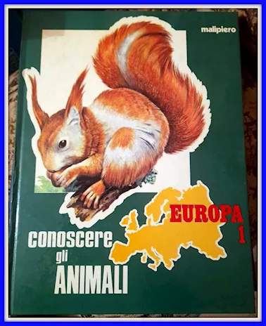 Raccolta anni '70 Malipiero Conoscere gli animali n. 7 volumi - Foto 2