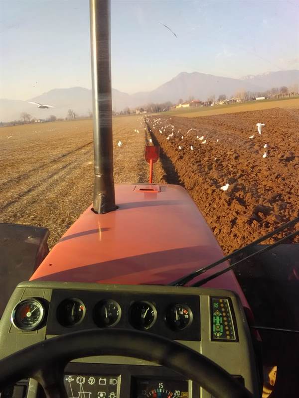 Foto 2 SAME TITAN 190 Ore 8500, motore rifatto