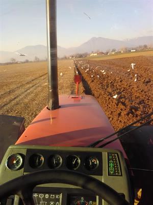SAME TITAN 190 Ore 8500, motore rifatto - Foto 2