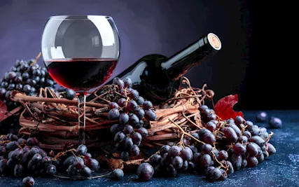Cantina attrezzata colline Oltrepò Pavese e Piacenza