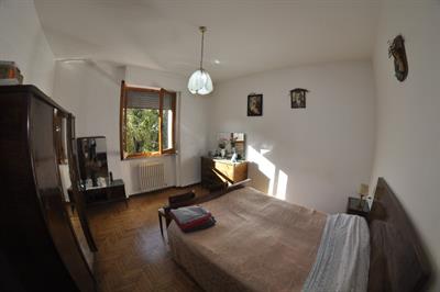 Foto - 8
