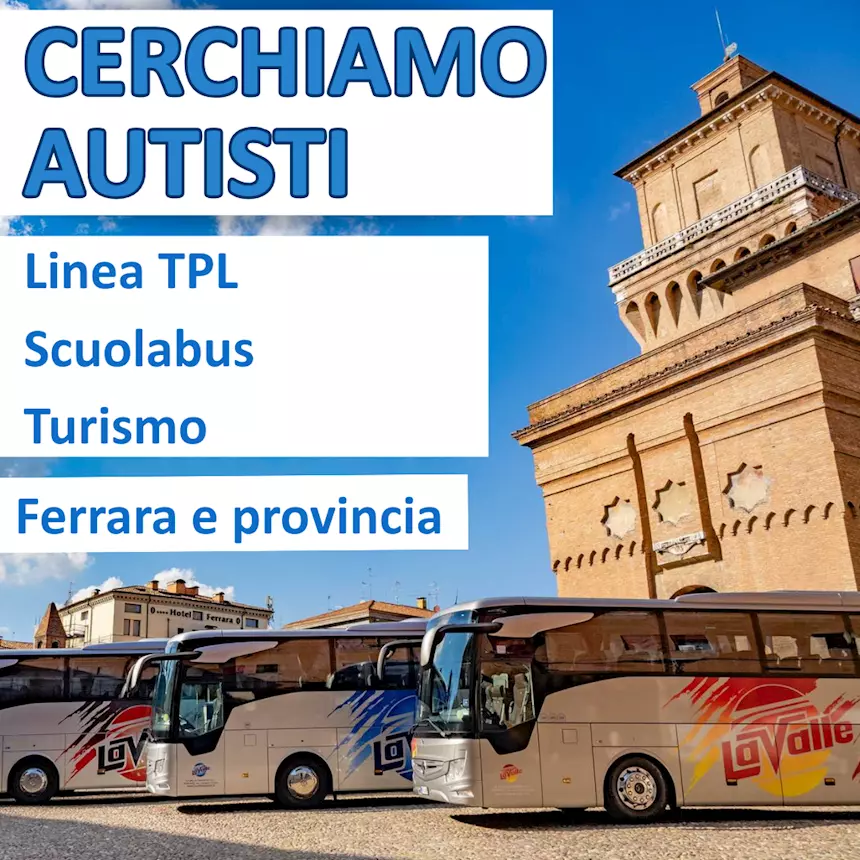 Autista di Autobus