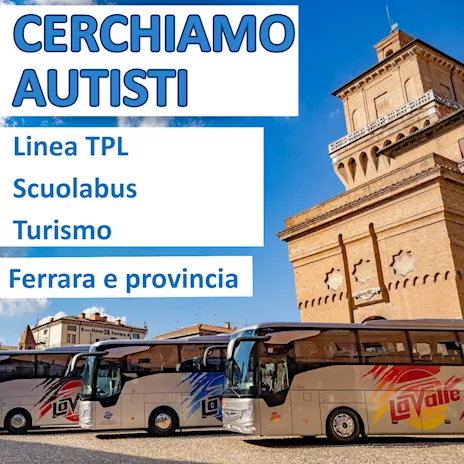 Autista di Autobus