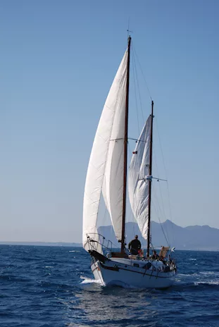 Barca a vela