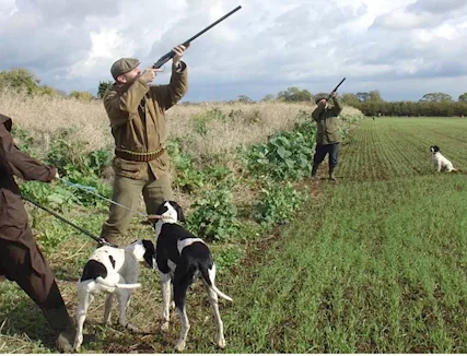 Fornitore x riserve di selvaggina fagiano ecc.