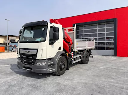 DAF LF 310 cassone ribaltabile 3 lati gru FASSI F185AC.1.25