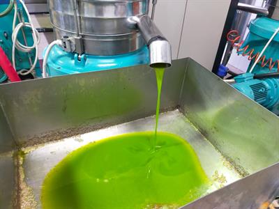 Olio extravergine d'oliva
