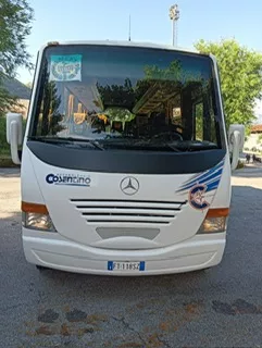 Mercedes 815 Smile