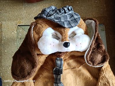 Vestiti di Carnevale Gatto Cane, marca Amendola, taglia xl - Foto 5