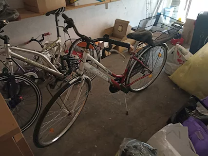 Tris bici famiglia