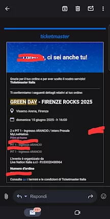 Green Day Firenze Rock pit 1 (x2)