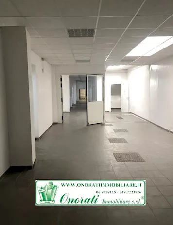 Foto - 7