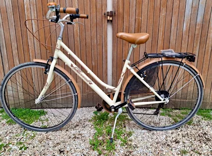 Bicicletta da Donna Marca Record