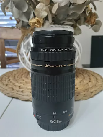 Teleobiettivo zoom Canon ultrasonic 75-300 mm