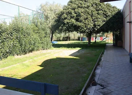 Foto - 8