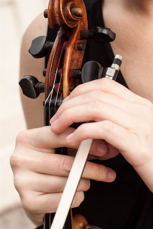 Pianista e violinista Darfo Boario Terme