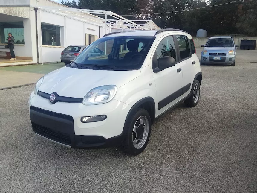 Fiat Modulo Fiat Modello Panda 4x4 1300 Multijet CV95 Anno 2018 Km 88576 Berlina ...