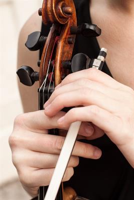 Pianista e violinista Darfo Boario Terme