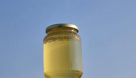 Miele delle langhe in vendita