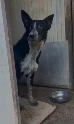 Valzer vi attende per ballare tutta la vita con lui