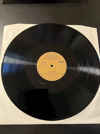 Foto - 12