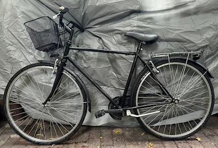 Bici da uomo