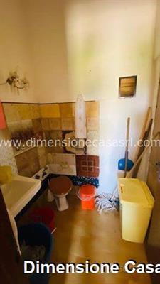 Foto - 10