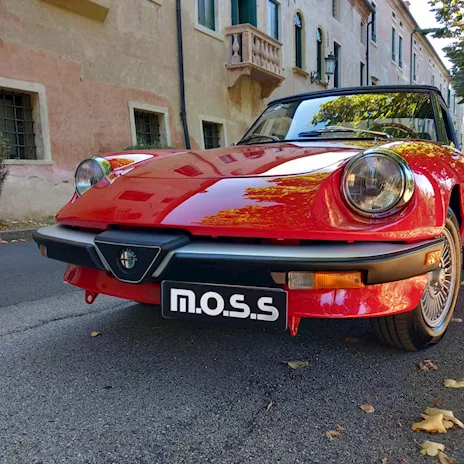 Alfa Romeo Spider / Duetto
