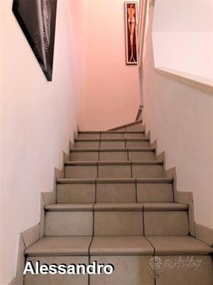 Foto - 13