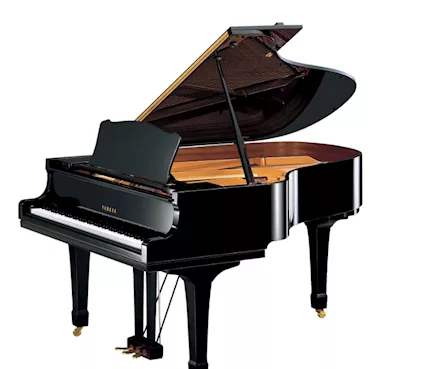 Lezioni pianoforte Castelnuovo Scrivia
