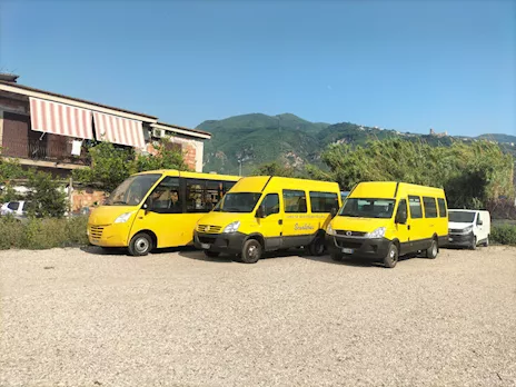 Iveco scuolabus
