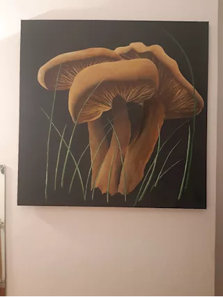 Quadro funghi Serie Effetti collaterali