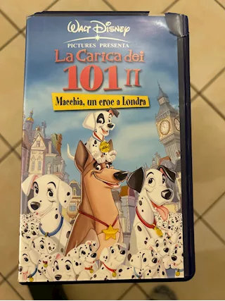 La carica dei 101