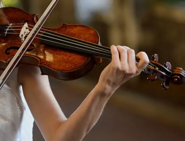 Violinista Melegnano