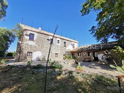 Foto - 12
