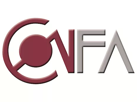 Giovane Falegname