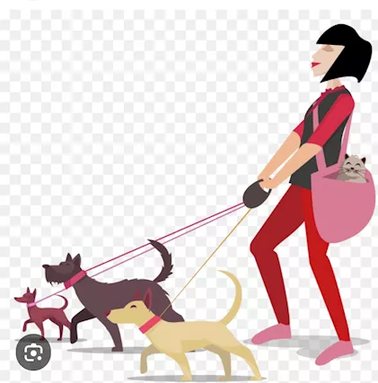 Pensione per cani
