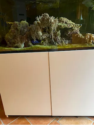 Acquario marino Redsea 425xl - Foto 2