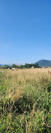 Terreno 2700 mq a San Giuliano Terme, Pianeggiante