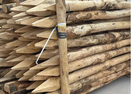 PALI DI CASTAGNO per recinzioni